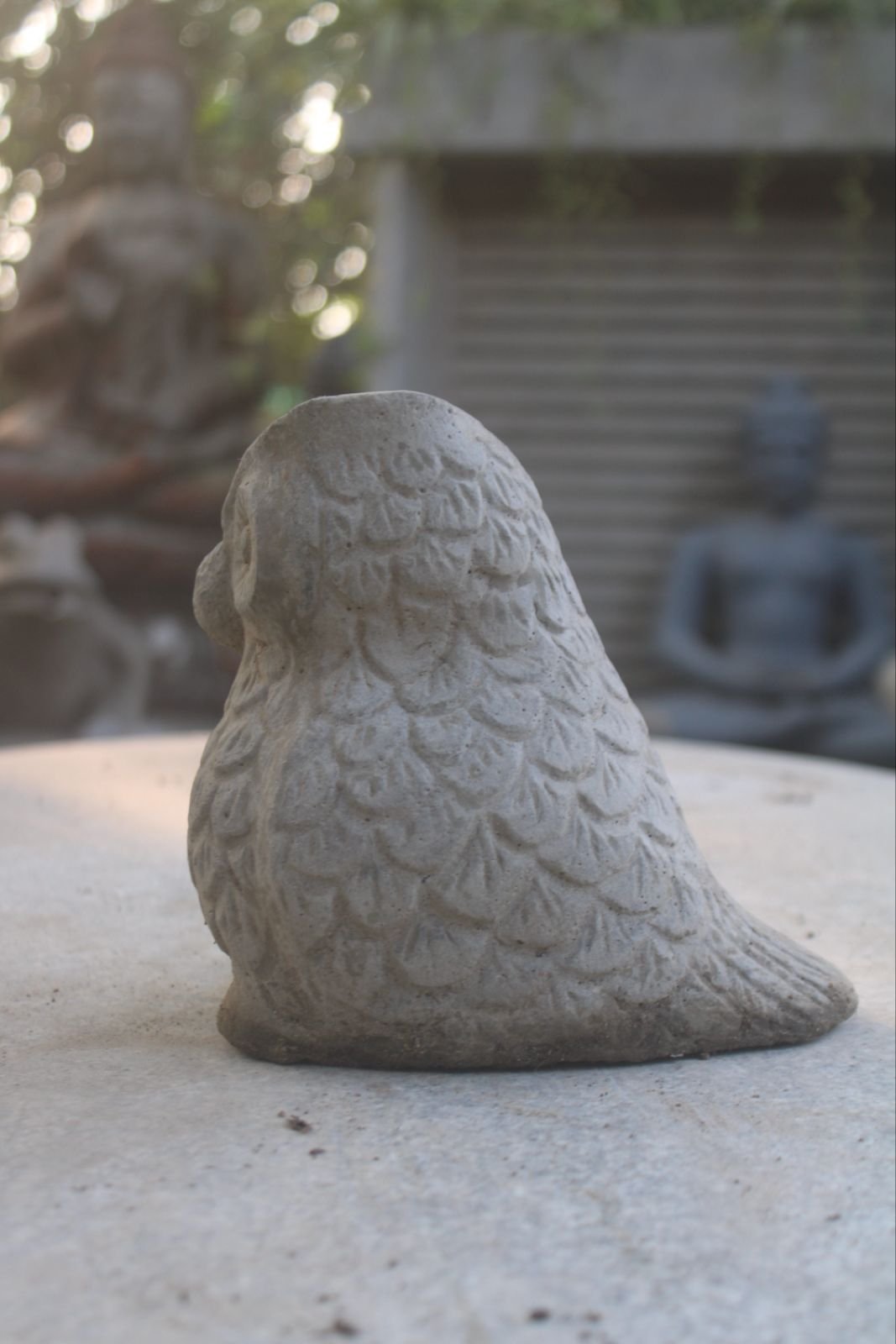 WhatsApp Image 2025-11-05 at 8.54.12 PM (2)