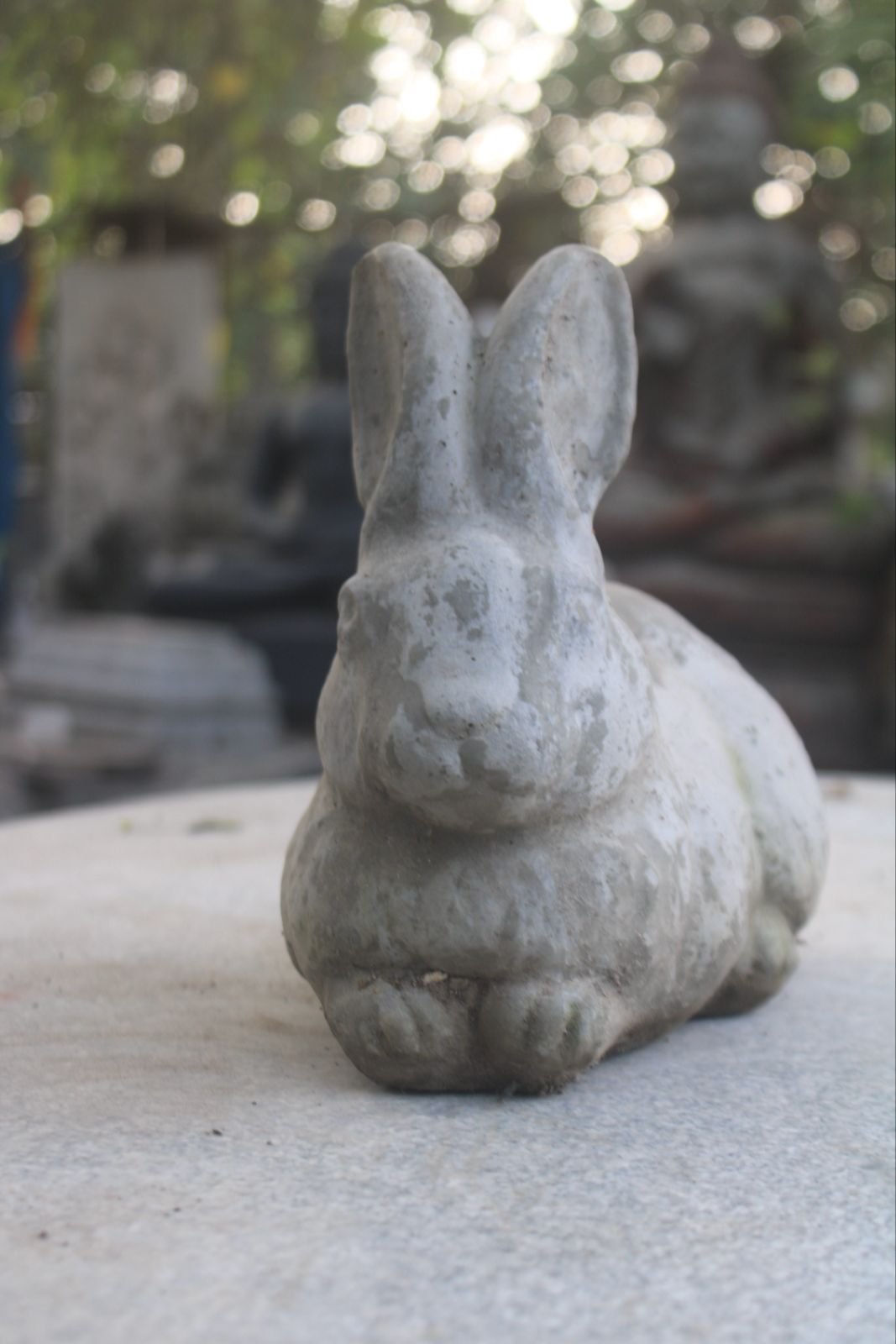 WhatsApp Image 2025-11-05 at 8.54.13 PM (1)